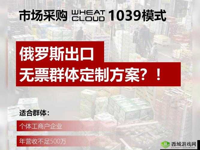 又更又租俄罗斯 SHOPIFY:专业服务,助您拓展海外市场