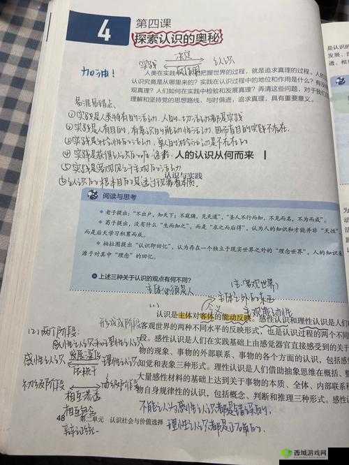 疯狂拨动我的小句号:探索其奥秘