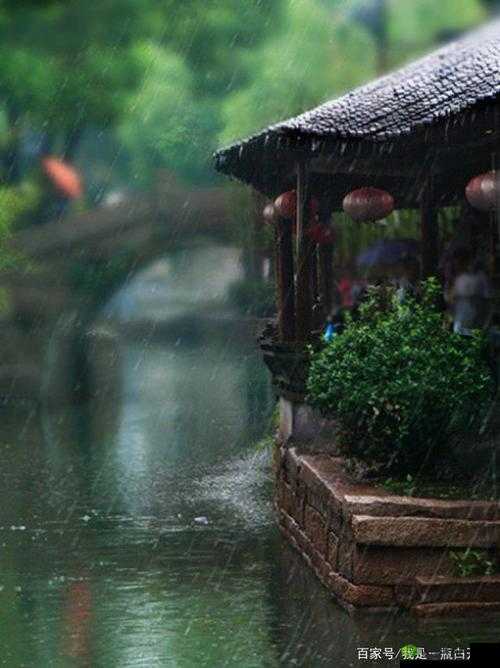 鐗瑰埆鐨勪綋妫灏忛洦:獨特的雨中奇景