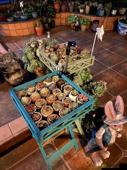 老公每天晚上吃小花园好吗引发网友热议：众说纷纭