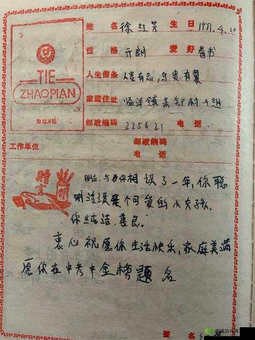 小霜的高中成长日记:青春记忆