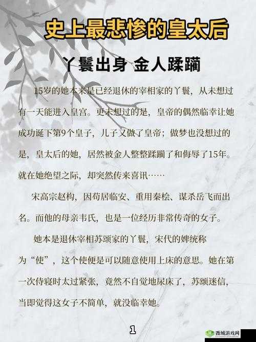 小说:大臣干群皇太后:权力与欲望的纠葛