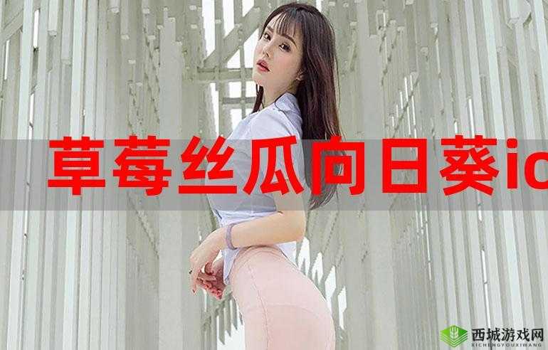 丝瓜草莓向日葵秋葵加油站:探索自然的奥秘