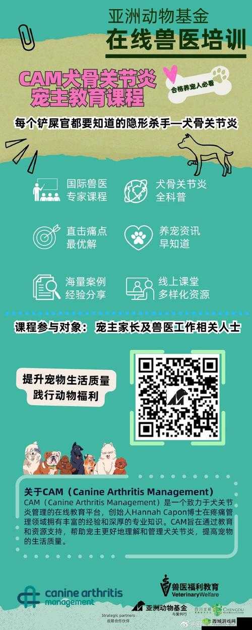 人畜禽 CORPORATION 在线咨询:专业解答你的疑问