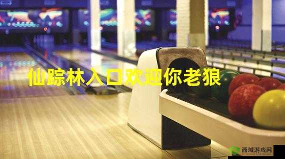 仙踪林入口视频欢迎你:开启奇幻之旅