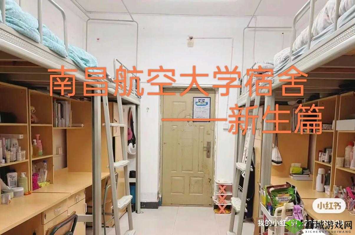 大学男生宿舍相互飞机:别样宿舍生活揭秘