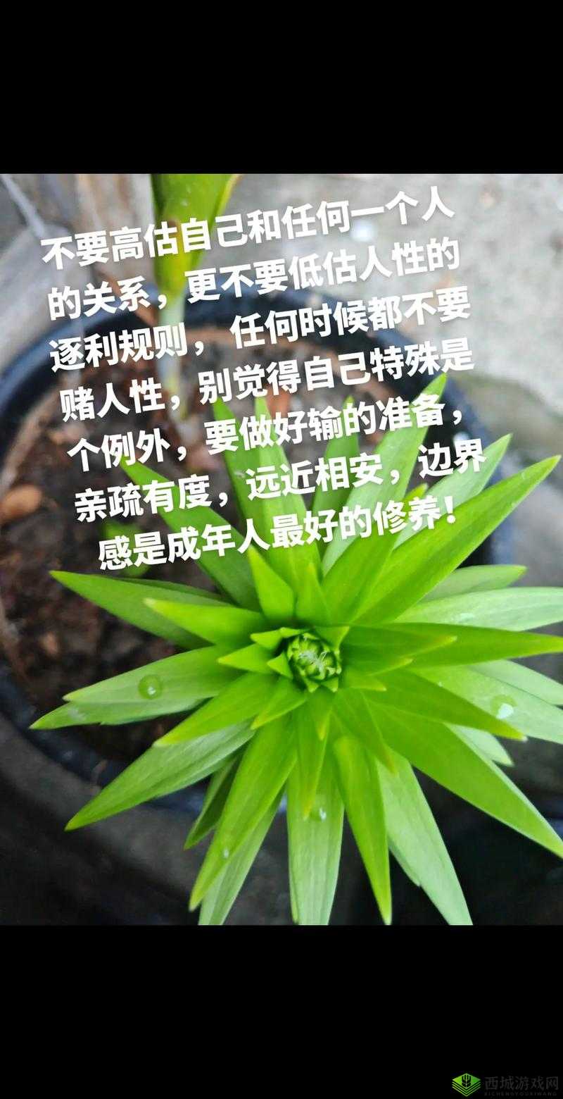 115 大但人文视频:探索人性与艺术的边界