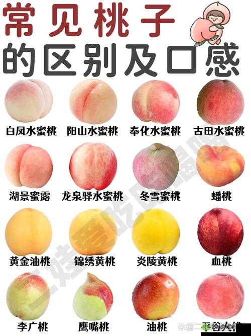 国产水蜜桃:甜蜜多汁口感鲜美带来夏日清凉享受