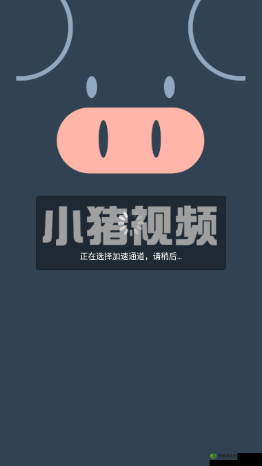 小猪视频 app 下载：带你领略精彩无限的视频世界