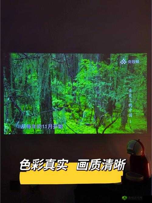 adc 影库确认年龄 18:打造绿色观影空间