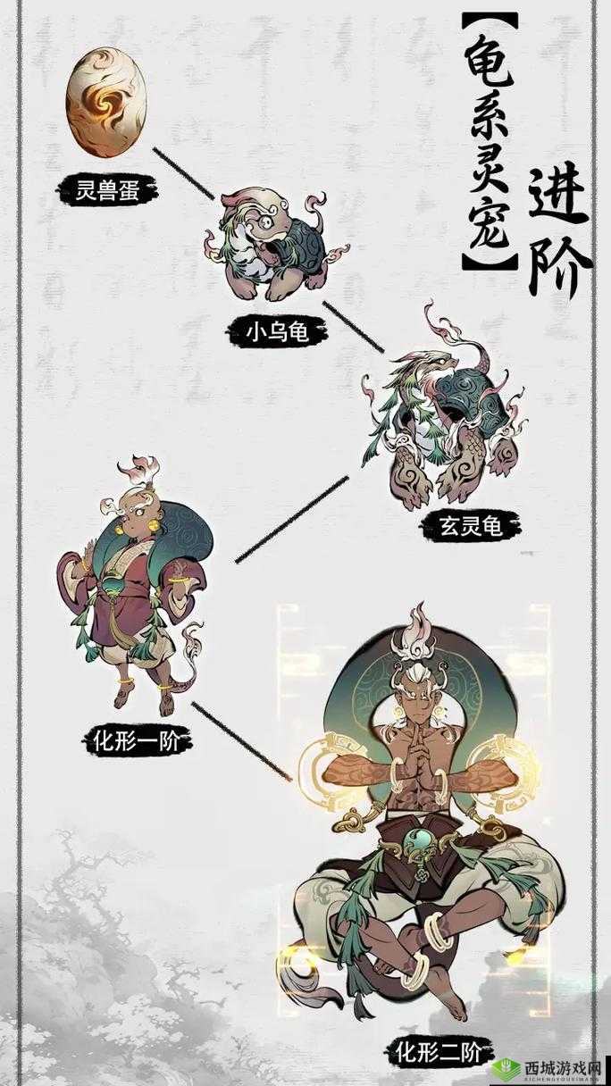 一念逍遥玄灵龟介绍,资源管理的智慧与策略