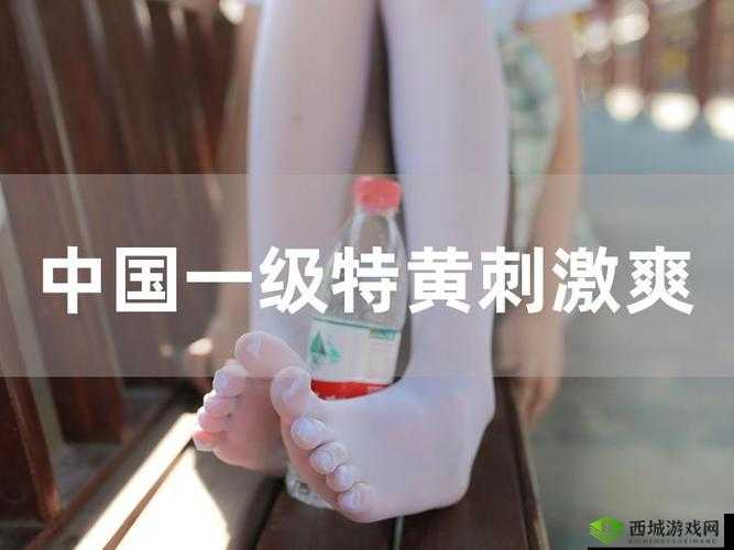 中国一级特黄真人高清图片:震撼视觉的独特呈现