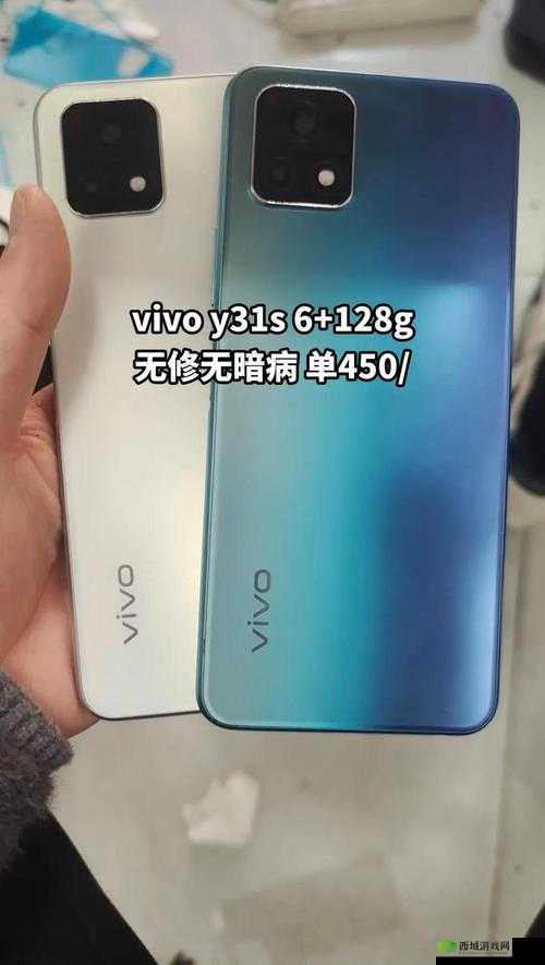 y31 成色好的:带来超值体验与惊喜发现