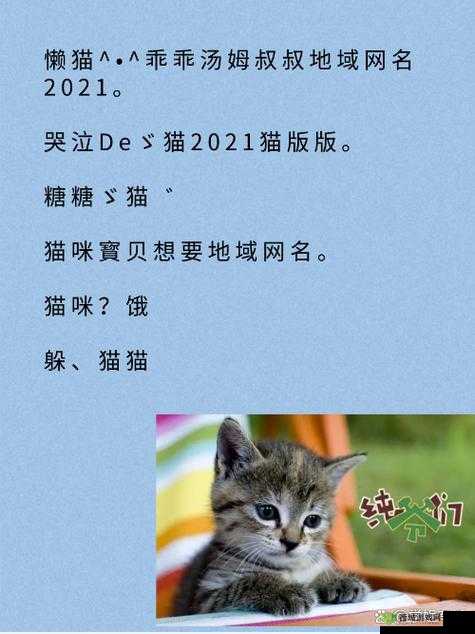 新版猫咪地域网名入口下载:带你畅游猫咪世界