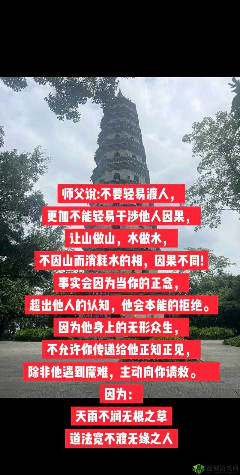 师父不可以:当师生关系遭遇伦理困境