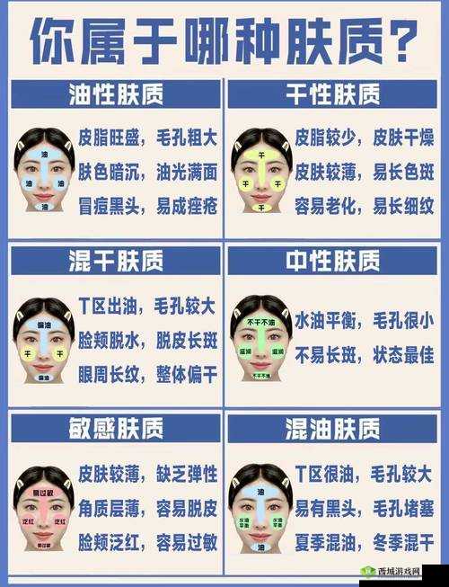 一区二区三区国产精华液的特点:成分功效与适用肤质解析