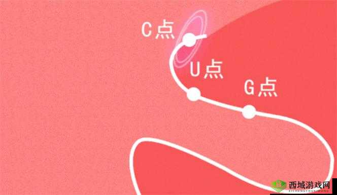 自 W 的方法教程图片:详细步骤与实用技巧解析