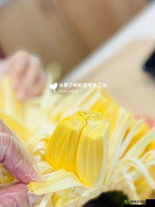 菠萝菠萝蜜视频在线高清视频:带你领略精彩视觉盛宴
