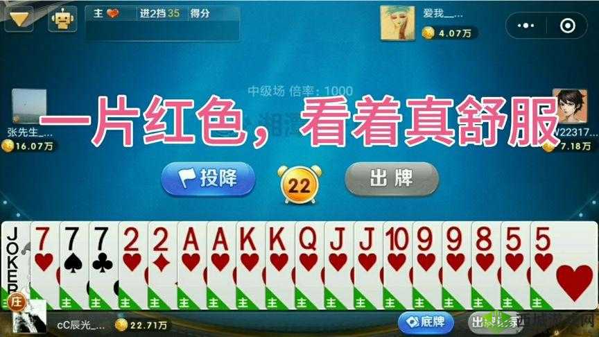 国产精品禁 815cc 红桃:一个充满挑战与机遇的行业