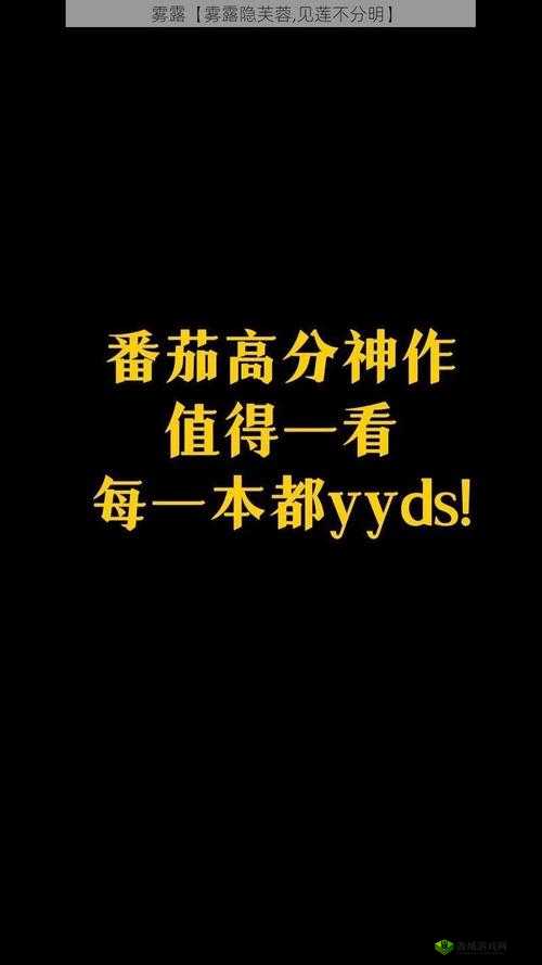 获得超级胬肉系统小说第二部:新的冒险征程开启