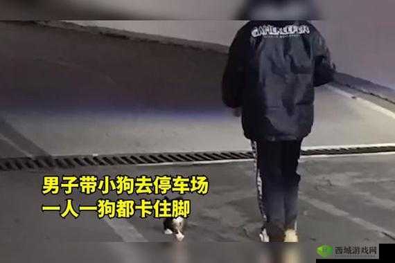 一人一狗卡住 6 小时要紧吗:后续情况及应对措施探讨