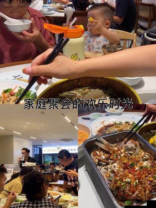 性情混乱家庭派对:一场充满戏剧性与纠葛的特别聚会