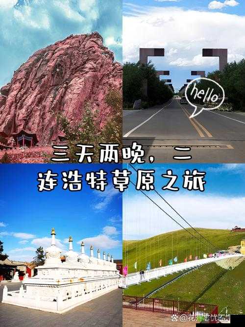 边境之旅,草原花位置揭秘,探寻繁花似锦的秘境
