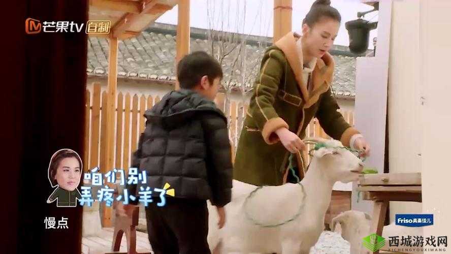 来吧儿子:妈妈是纯还是仿?——妈妈的秘密等你来探索