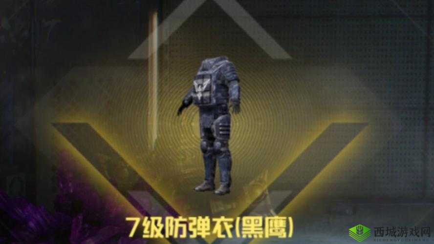 光荣使命手游防弹衣大全,3级防弹衣可以挡多少伤害