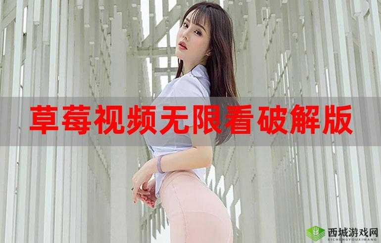 草莓视频app懂你更多破解版好用吗?来这里了解其独特之处与功能