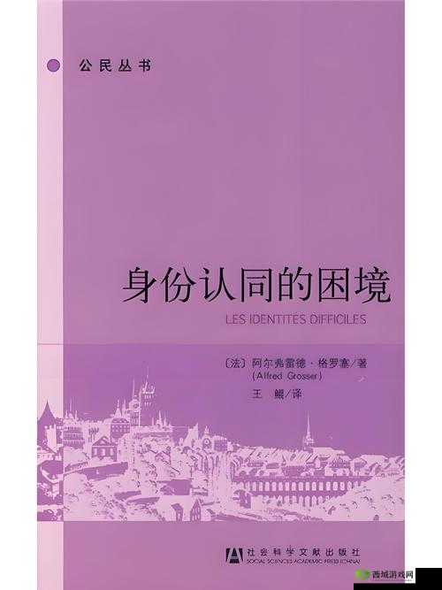 在日本的韩国人生活现状:文化融合与身份认同的挑战与机遇
