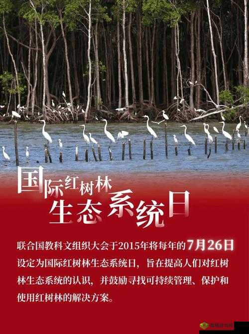 探索chinese树林性BBW的自然魅力:其生态特点与保护意义